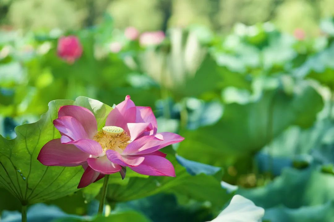 第2页_项目时讯_太阳集团tcy8722时讯_太阳集团tcy8722